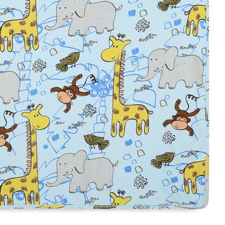 Baby Summer & Winters Blanket (0-6 Months)